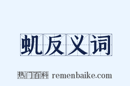 虮反义词是什么意思的图片